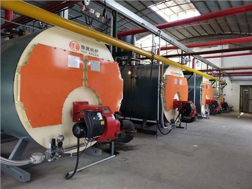 1-10t Wns Série Diesel Gás Disparado Caldeira a Vapor