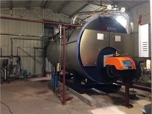 Caldeira a vapor Wns com tubo de fogo tipo horizontal a óleo industrial / gás natural