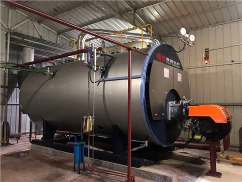 Wns Industrial Use Gás Natural Gás Gás Gás Disparado Caldeira a Vapor